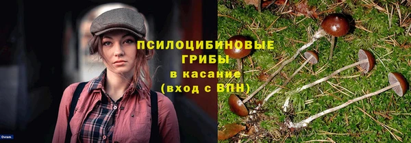 ALPHA-PVP Дмитровск